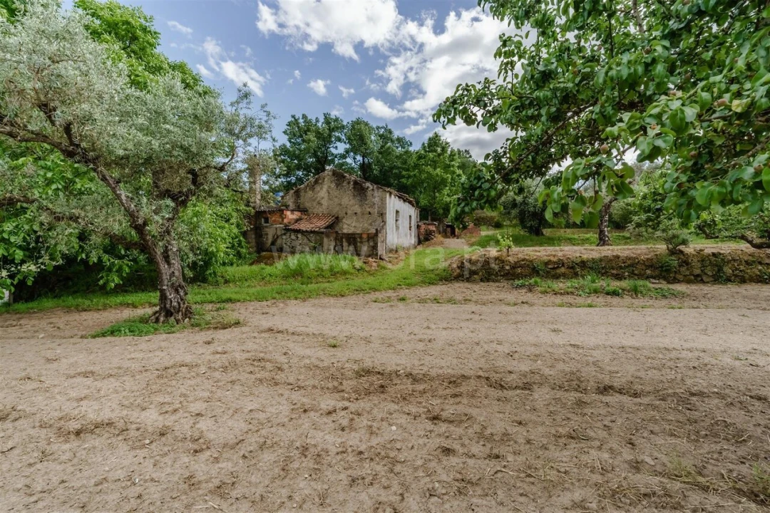 Quinta T1 para Venda em Fundão, Valverde, Donas, A. Joanes, A. Nova Cabo Foto 4