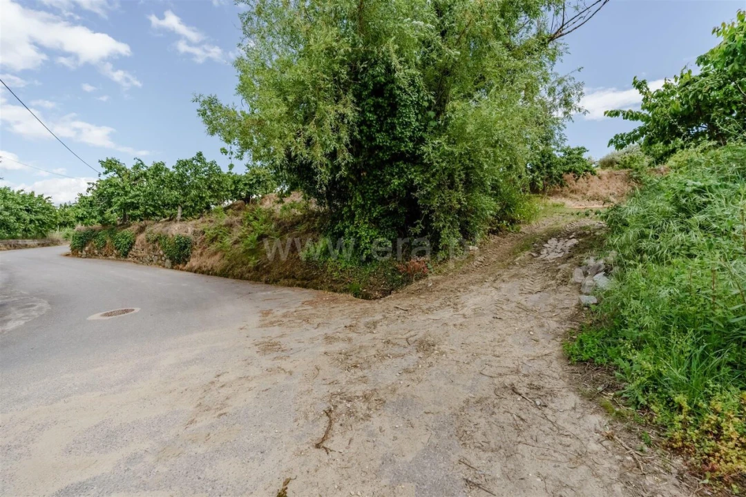 Terreno para Venda em Fundão, Valverde, Donas, A. Joanes, A. Nova Cabo Foto 12