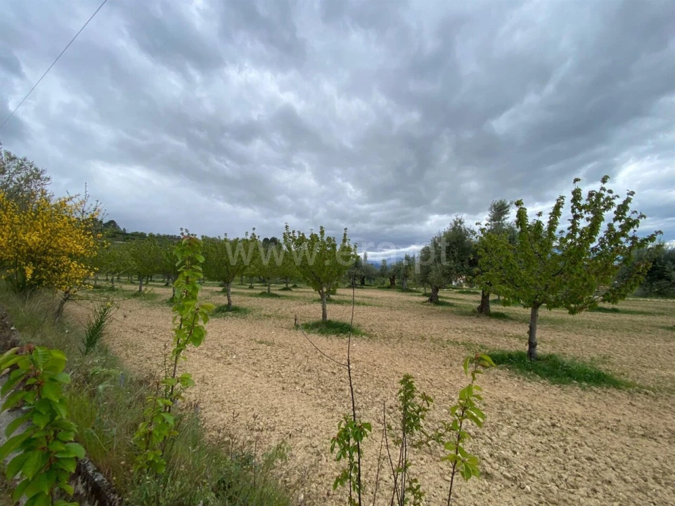 Terreno para Venda em Fundão, Valverde, Donas, A. Joanes, A. Nova Cabo Foto 2