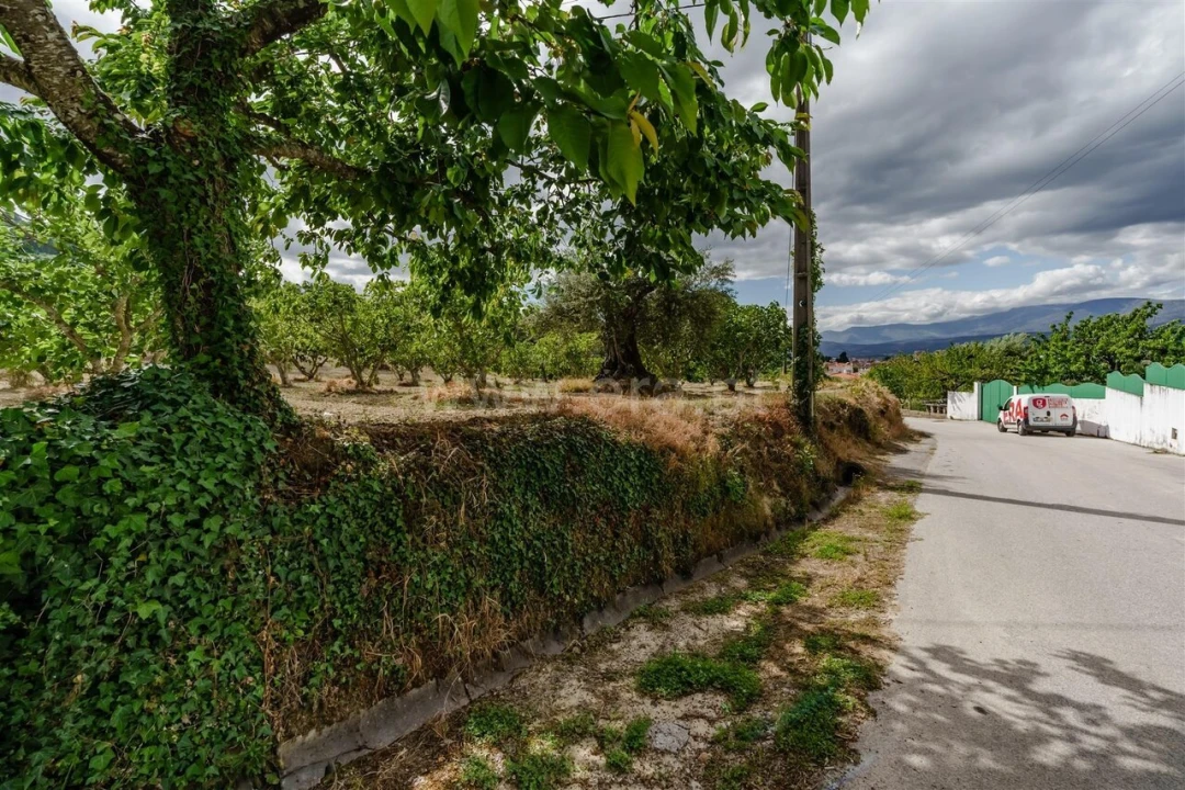Terreno para Venda em Fundão, Valverde, Donas, A. Joanes, A. Nova Cabo Foto 10