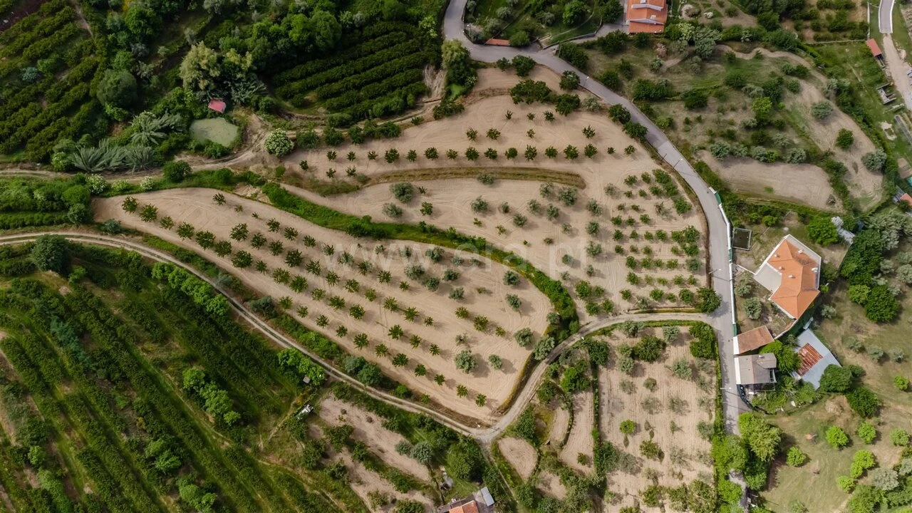 Terreno para Venda em Fundão, Valverde, Donas, A. Joanes, A. Nova Cabo Foto 1