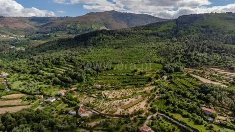 Terreno para Venda em Fundão, Valverde, Donas, A. Joanes, A. Nova Cabo