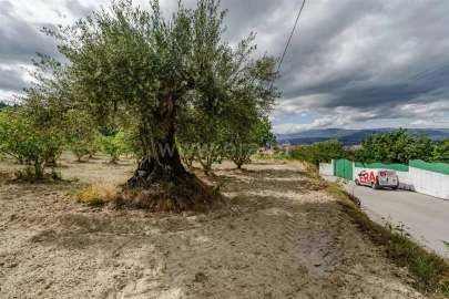 Terreno para Venda em Fundão, Valverde, Donas, A. Joanes, A. Nova Cabo