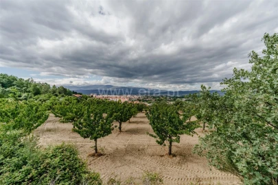 Terreno para Venda em Fundão, Valverde, Donas, A. Joanes, A. Nova Cabo
