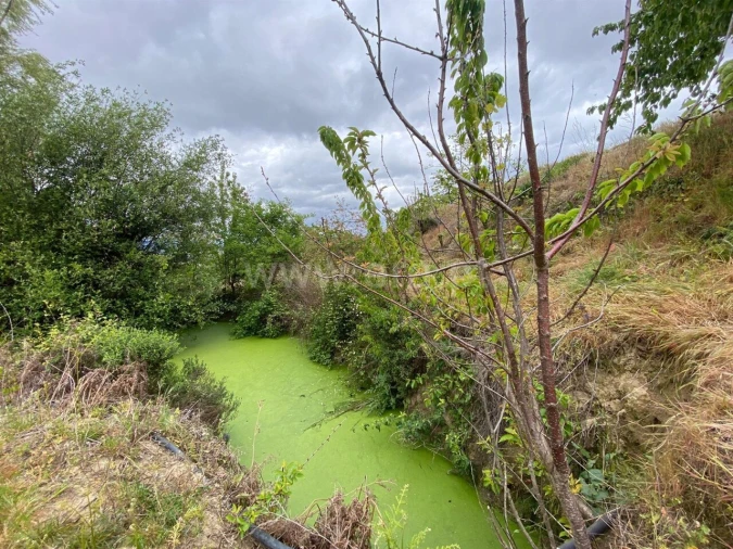Terreno para Venda em Fundão, Valverde, Donas, A. Joanes, A. Nova Cabo Foto 5