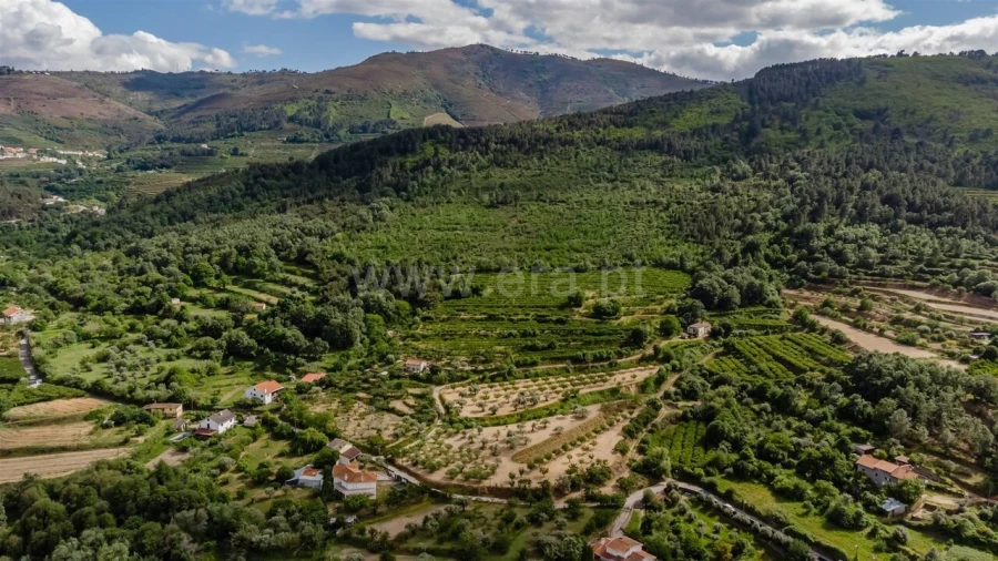 Terreno para Venda em Fundão, Valverde, Donas, A. Joanes, A. Nova Cabo Foto 17