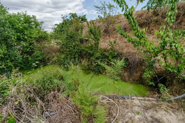 Terreno para Venda em Fundão, Valverde, Donas, A. Joanes, A. Nova Cabo Foto 14