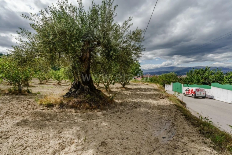 Terreno para Venda em Fundão, Valverde, Donas, A. Joanes, A. Nova Cabo Foto 11