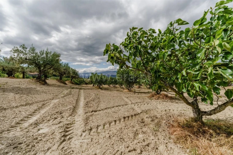 Terreno para Venda em Fundão, Valverde, Donas, A. Joanes, A. Nova Cabo Foto 5