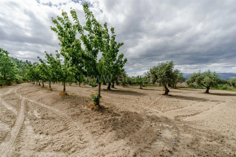 Terreno para Venda em Fundão, Valverde, Donas, A. Joanes, A. Nova Cabo Foto 2
