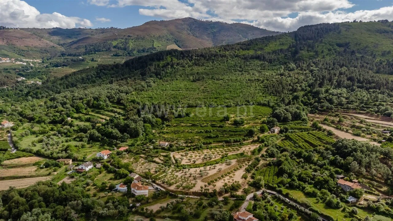 Terreno para Venda em Fundão, Valverde, Donas, A. Joanes, A. Nova Cabo Foto 17