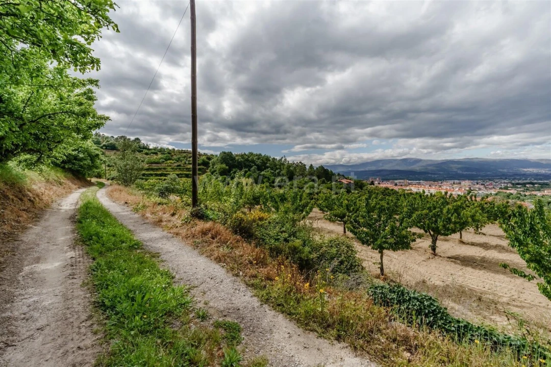 Terreno para Venda em Fundão, Valverde, Donas, A. Joanes, A. Nova Cabo Foto 8