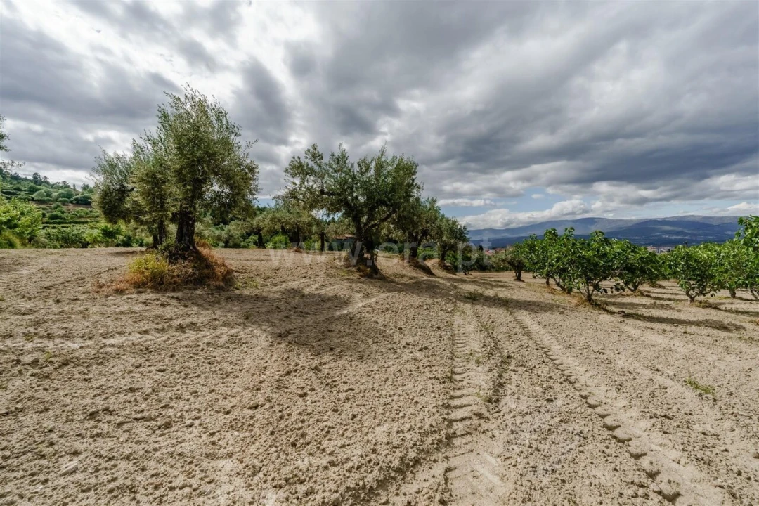 Terreno para Venda em Fundão, Valverde, Donas, A. Joanes, A. Nova Cabo Foto 6