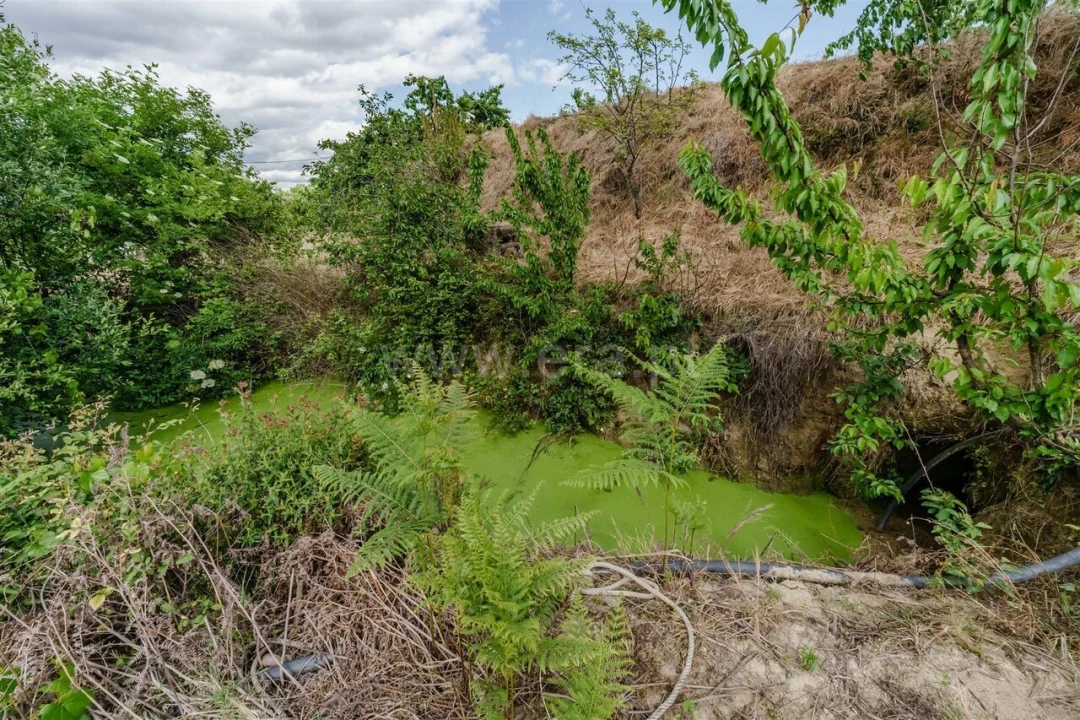 Terreno para Venda em Fundão, Valverde, Donas, A. Joanes, A. Nova Cabo Foto 14