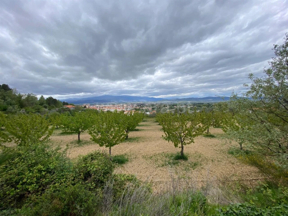 Terreno para Venda em Fundão, Valverde, Donas, A. Joanes, A. Nova Cabo Foto 3
