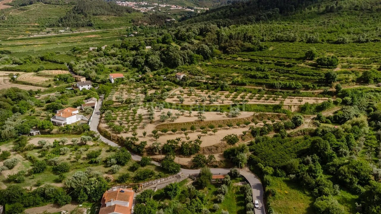 Terreno para Venda em Fundão, Valverde, Donas, A. Joanes, A. Nova Cabo Foto 16