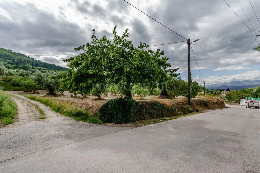 Terreno para Venda em Fundão, Valverde, Donas, A. Joanes, A. Nova Cabo Foto 9