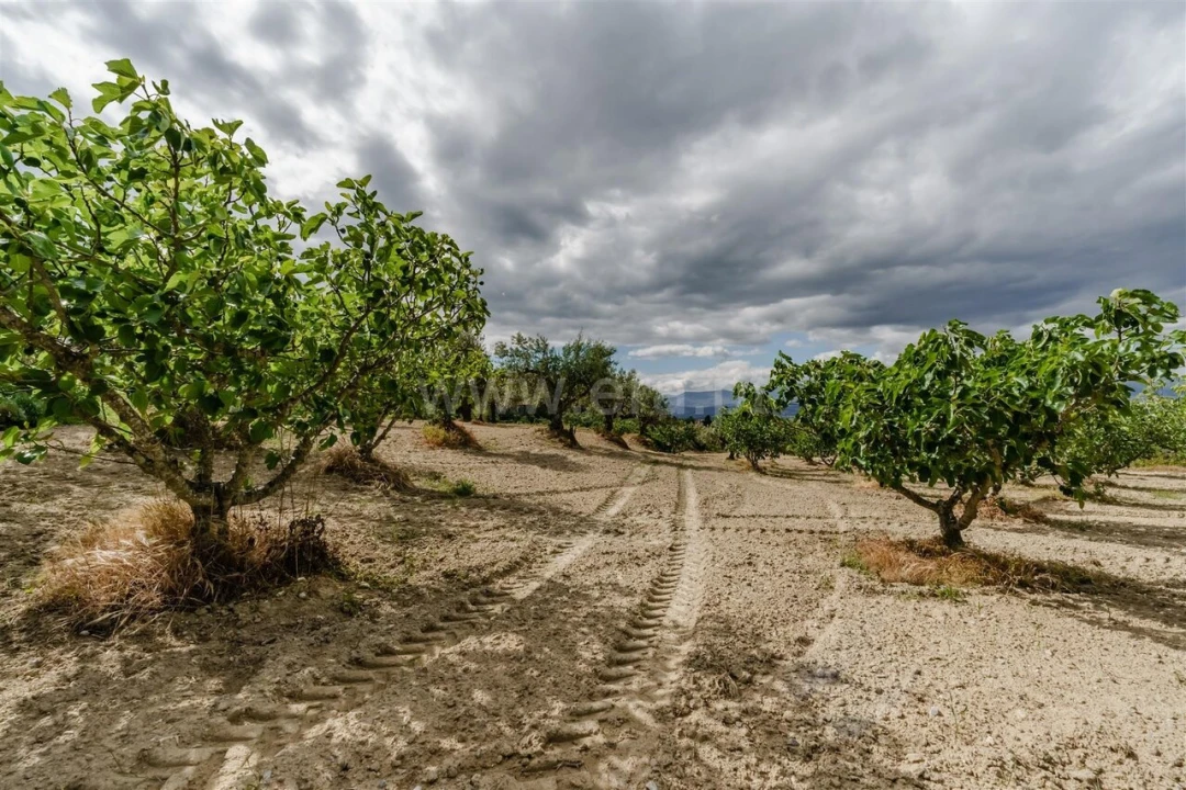 Terreno para Venda em Fundão, Valverde, Donas, A. Joanes, A. Nova Cabo Foto 7