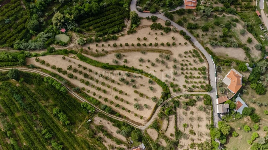 Terreno para Venda em Fundão, Valverde, Donas, A. Joanes, A. Nova Cabo