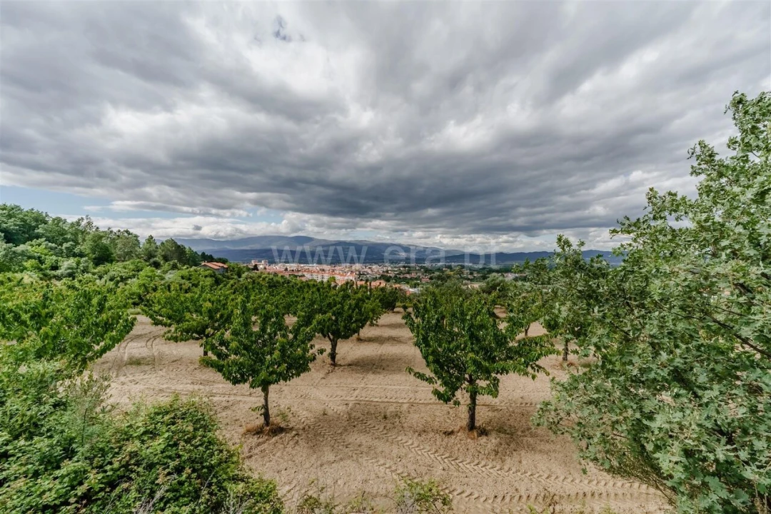Terreno para Venda em Fundão, Valverde, Donas, A. Joanes, A. Nova Cabo Foto 3