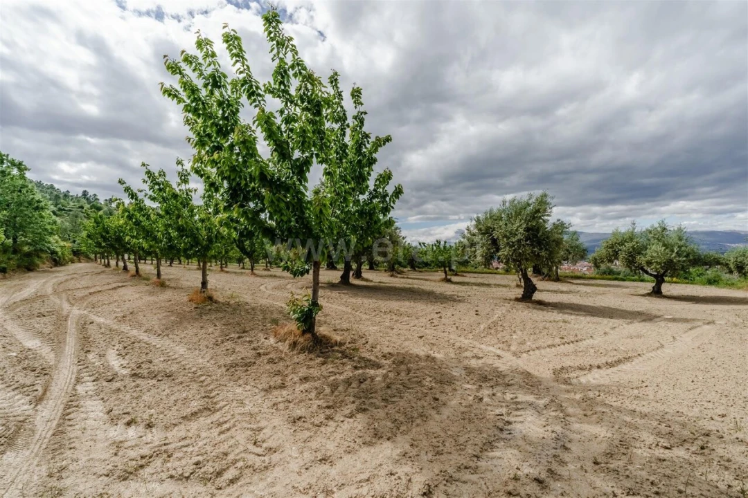 Terreno para Venda em Fundão, Valverde, Donas, A. Joanes, A. Nova Cabo Foto 2