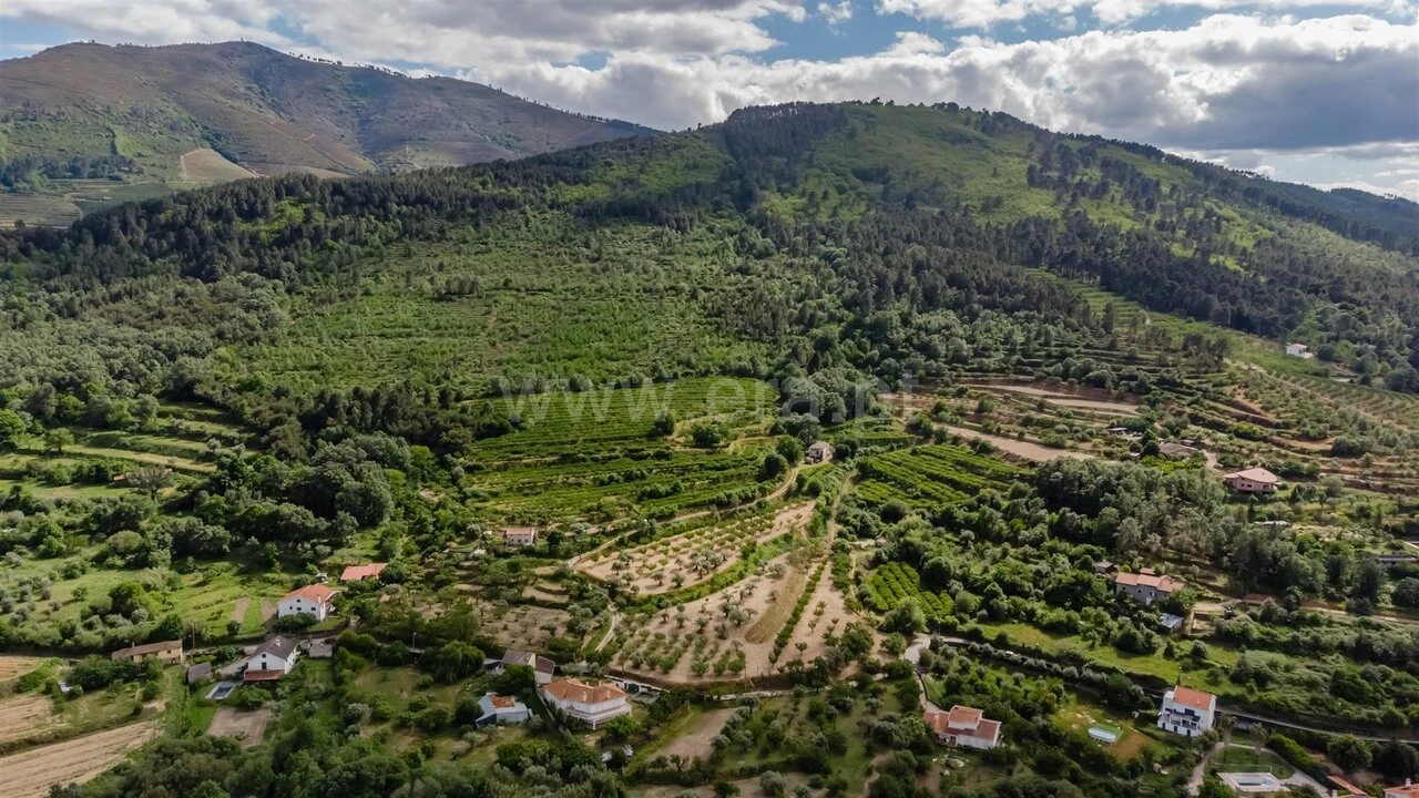 Terreno para Venda em Fundão, Valverde, Donas, A. Joanes, A. Nova Cabo Foto 18