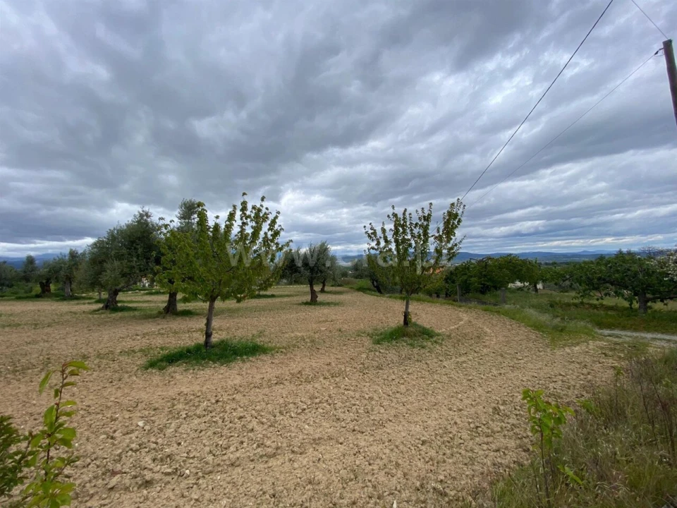 Terreno para Venda em Fundão, Valverde, Donas, A. Joanes, A. Nova Cabo Foto 1
