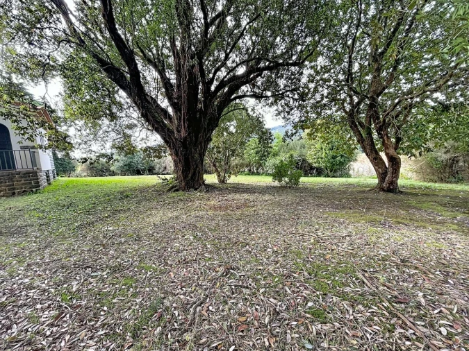 Moradia T5 para Venda em Santo Antonio da Serra Foto 7