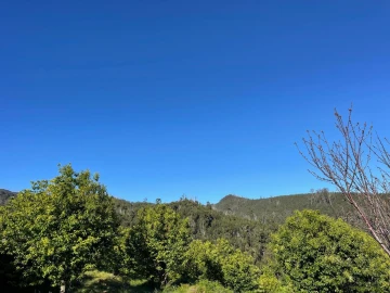 Terreno para Venda em Arco da Calheta