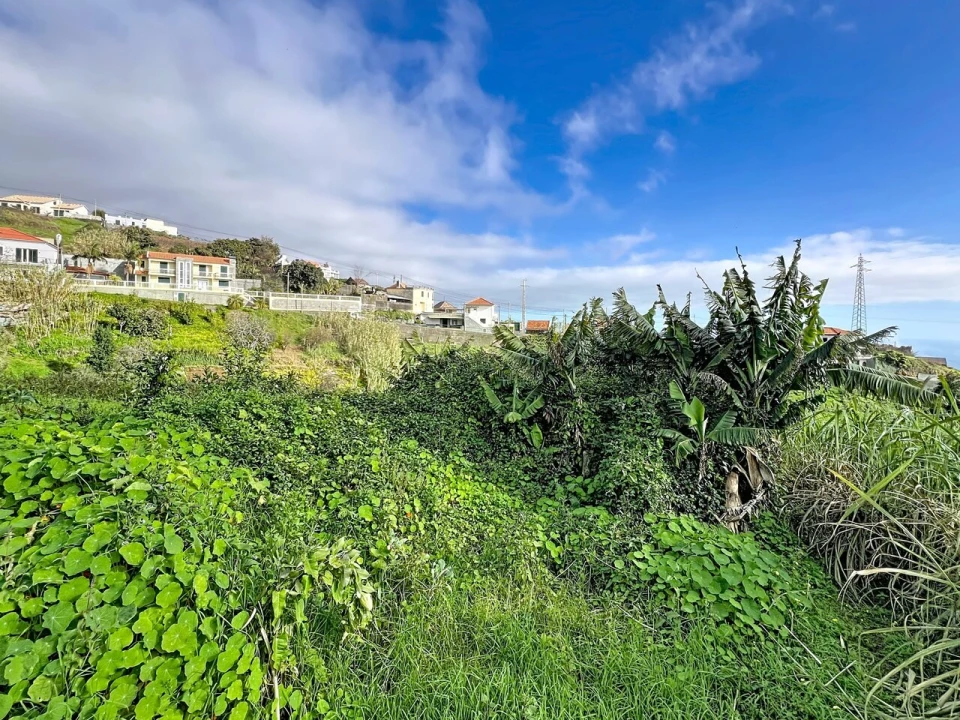Terreno para Venda em Canhas Foto 3
