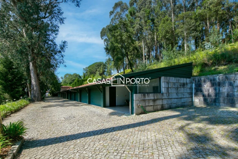 Quinta T10 para Venda em O. Azeméis, Riba-Ul, Ul, Macinhata Seixa, Madail Foto 51