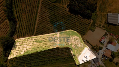 Moradia T4 para Venda em Vermelha