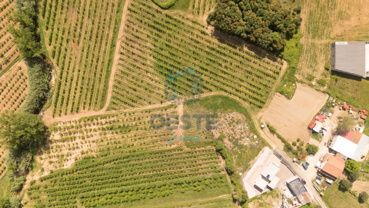 Moradia T4 para Venda em Vermelha Foto 58