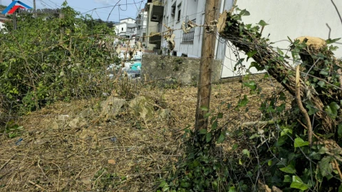 Terreno para Venda em Sé Nova, Santa Cruz, Almedina e São Bartolomeu