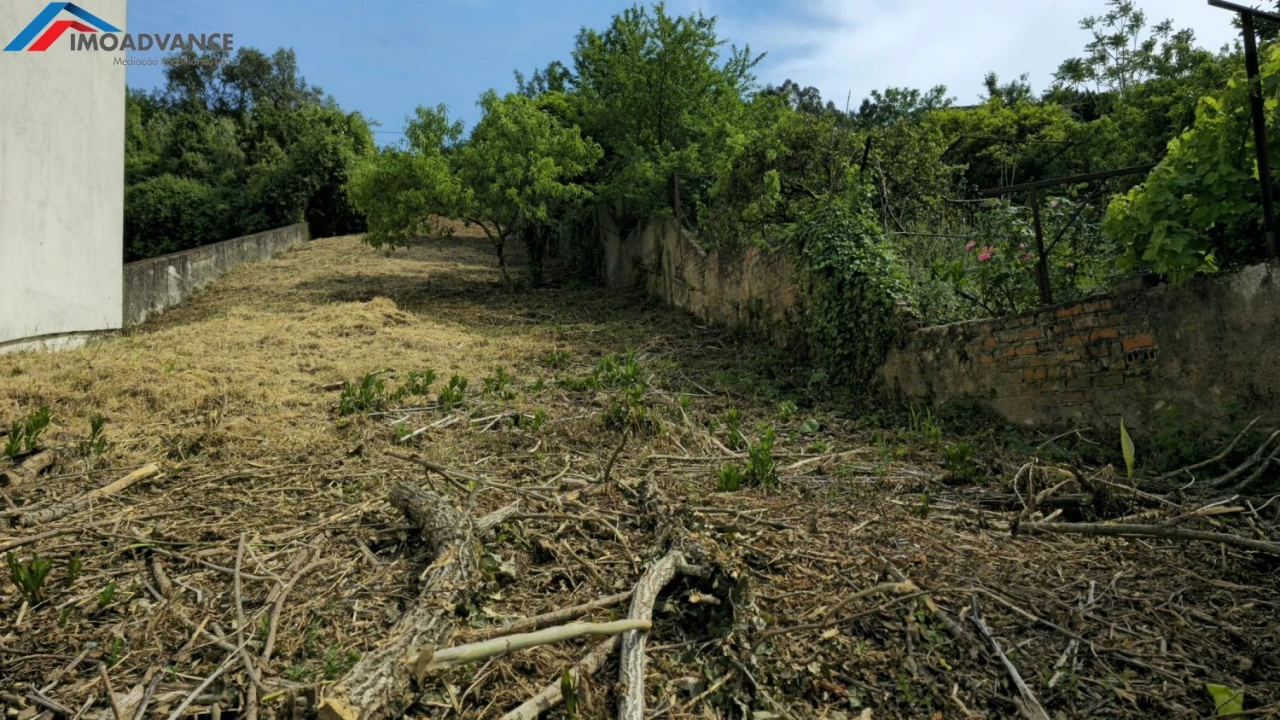 Terreno para Venda em Sé Nova, Santa Cruz, Almedina e São Bartolomeu Foto 3
