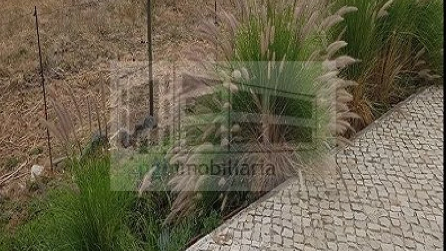Terreno para Venda em Santo Antão e São Julião do Tojal