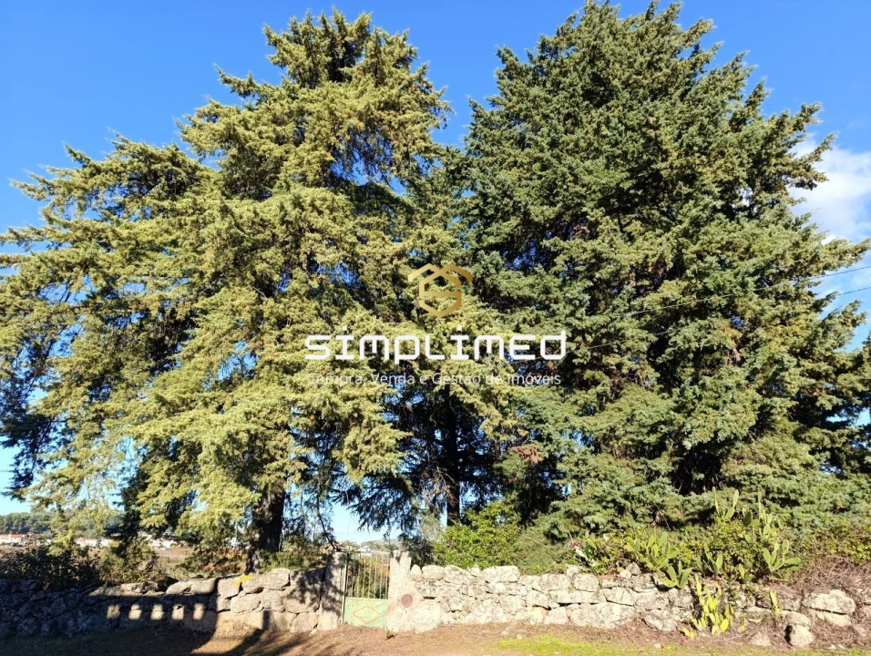 Quinta T2 para Venda em Belmonte e Colmeal da Torre Foto 8