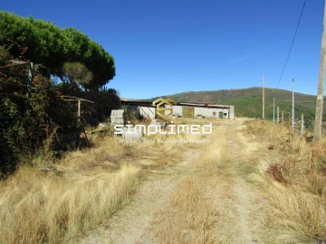Quinta para Venda em Orjais