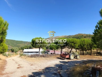 Quinta para Venda em Orjais