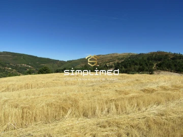 Quinta para Venda em Orjais