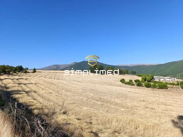 Quinta para Venda em Orjais