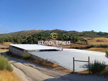 Quinta para Venda em Orjais