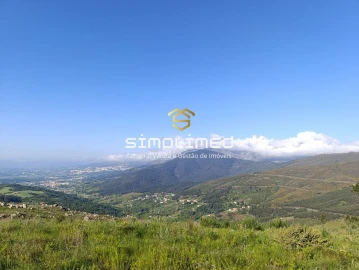 Quinta para Venda em Orjais