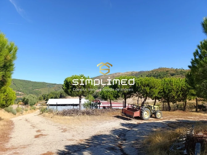 Quinta para Venda em Orjais Foto 36