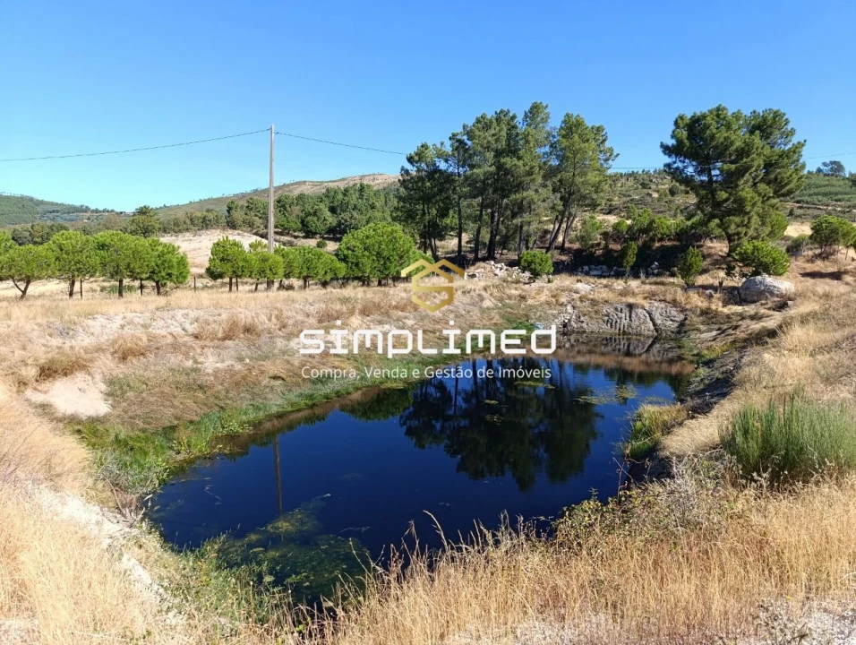 Quinta para Venda em Orjais Foto 19