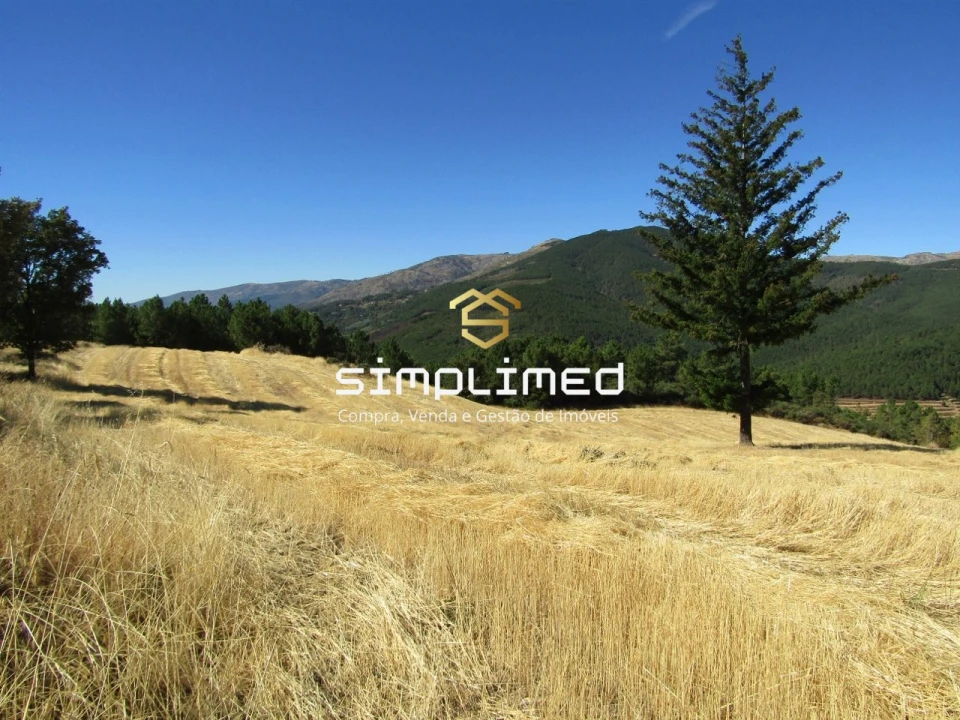 Quinta para Venda em Orjais Foto 9