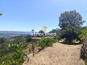 Quinta T2 para Venda em Orjais