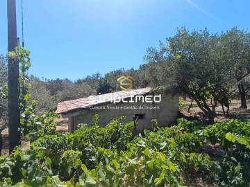 Quinta T2 para Venda em Orjais