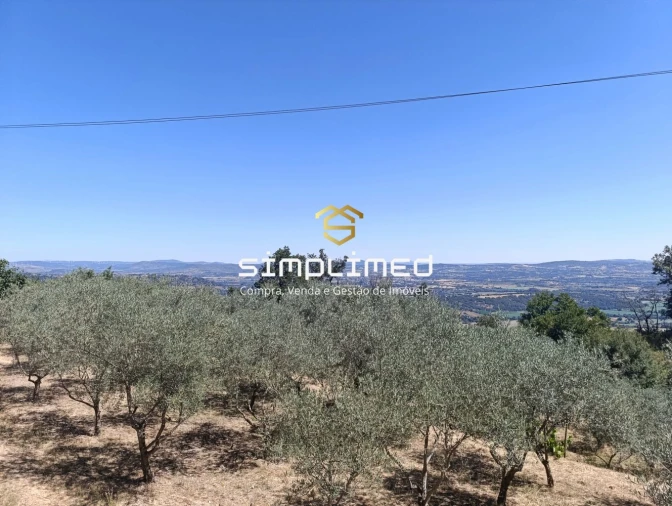 Quinta T2 para Venda em Orjais Foto 41