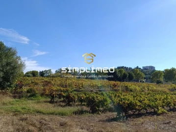 Quinta T1 para Venda em Belmonte e Colmeal da Torre